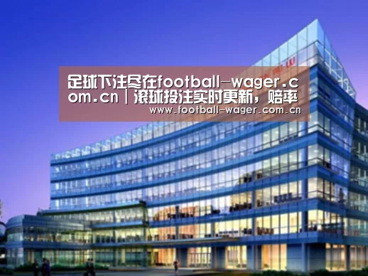 足球下注案例展示三